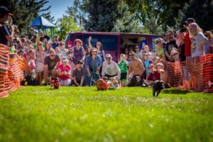 Parker Oktoberfest Dachshund Races @ O'Brien memorial park